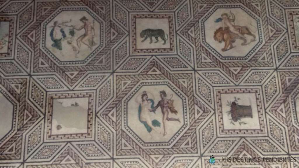 Fragmento del Mosaico de Dionisio en el Museo Romano - Germano (Colonia, Alemania)